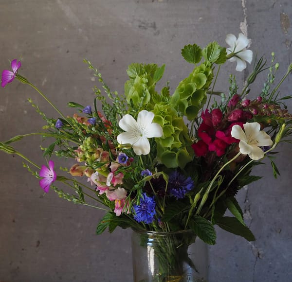 Blumen-Abo Spätsommer – Bild 2