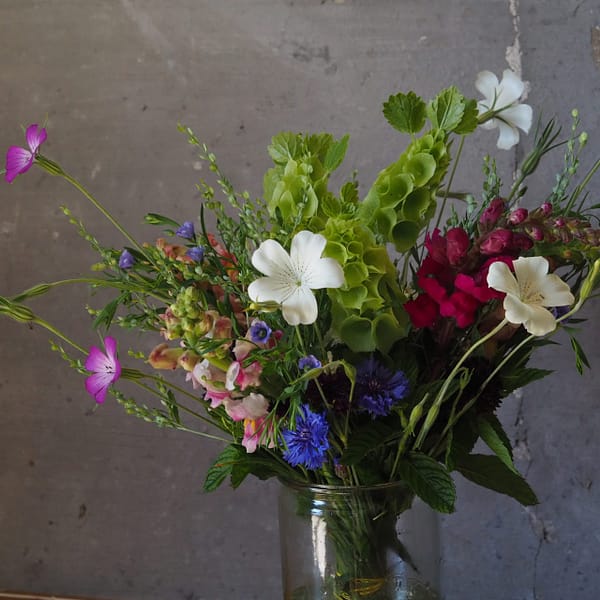 Blumen-Abo Sommer