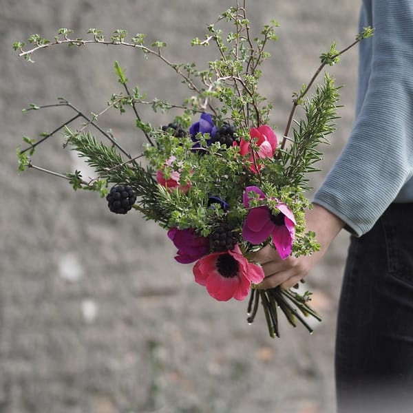 Frühlingsboten [Blumen-Abo]