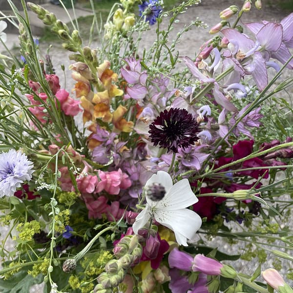 Saisonaler Blumenstrauß [M] – Bild 2