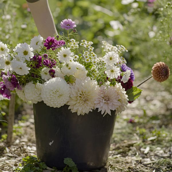 Blumeneimer [groß]